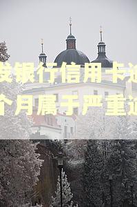 浦发银行信用卡逾期一个月属于严重逾期吗