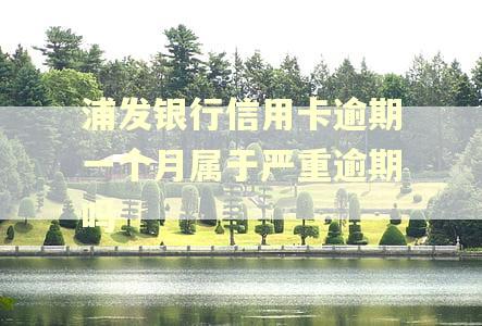 浦发银行信用卡逾期一个月属于严重逾期吗