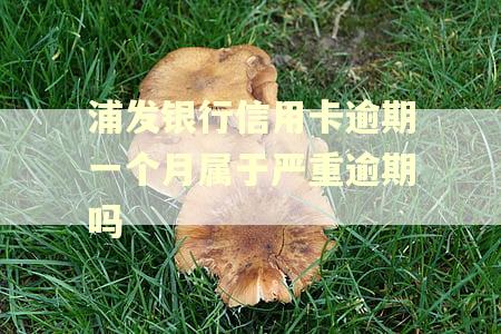 浦发银行信用卡逾期一个月属于严重逾期吗