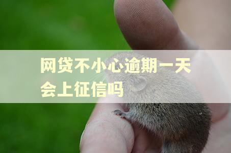 网贷不小心逾期一天会上征信吗