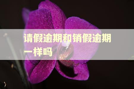 请假逾期和销假逾期一样吗