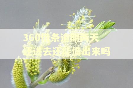 360借条逾期两天还进去还能借出来吗