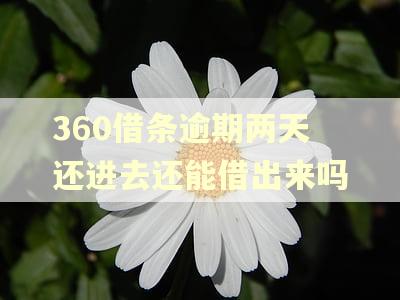 360借条逾期两天还进去还能借出来吗