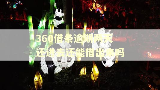 360借条逾期两天还进去还能借出来吗