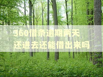 360借条逾期两天还进去还能借出来吗