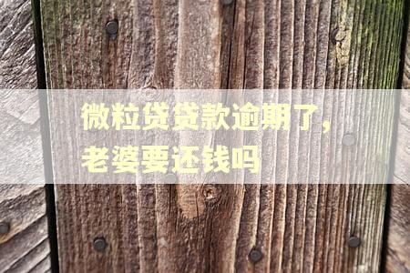 微粒贷贷款逾期了,老婆要还钱吗