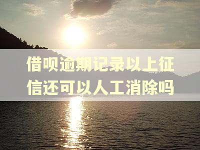 借呗逾期记录以上征信还可以人工消除吗