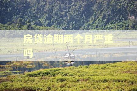 房贷逾期两个月严重吗