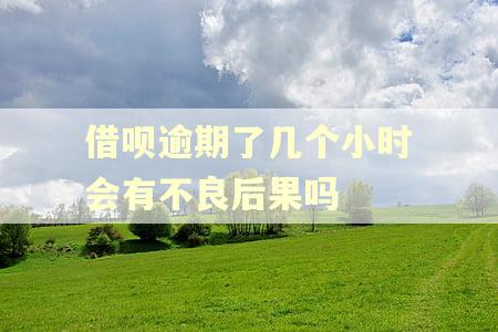 借呗逾期了几个小时会有不良后果吗