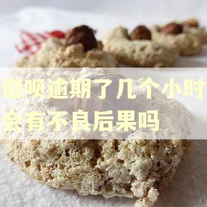 借呗逾期了几个小时会有不良后果吗