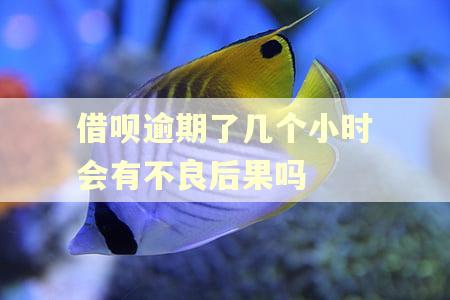 借呗逾期了几个小时会有不良后果吗 借呗逾期了几个小时会有不良后果吗