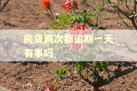 房贷两次都逾期一天有事吗