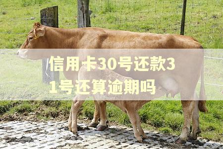 信用卡30号还款31号还算逾期吗