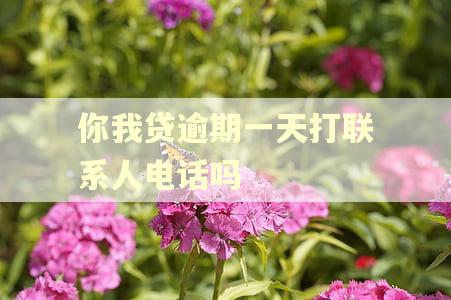你我贷逾期一天打联系人电话吗