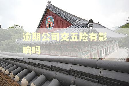 逾期公司交五险有影响吗
