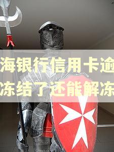 上海银行信用卡逾期被冻结了还能解冻吗