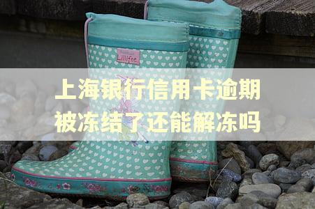 上海银行信用卡逾期被冻结了还能解冻吗