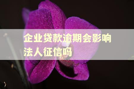 企业贷款逾期会影响法人征信吗