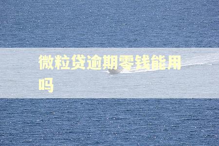 微粒贷逾期零钱能用吗