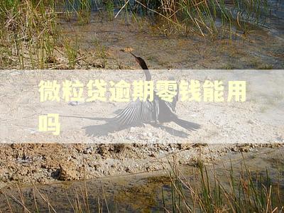 微粒贷逾期零钱能用吗
