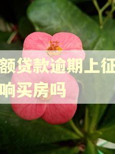 小额贷款逾期上征信影响买房吗
