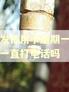 浦发信用卡逾期一天会一直打电话吗