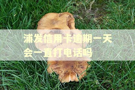 浦发信用卡逾期一天会一直打电话吗 浦发信用卡逾期一天会一直打电话吗