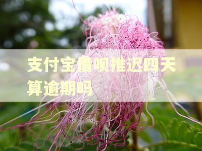 支付宝借呗推迟四天算逾期吗