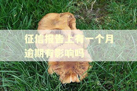 征信报告上有一个月逾期有影响吗