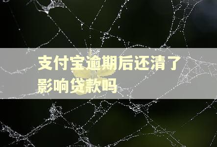 支付宝逾期后还清了影响贷款吗