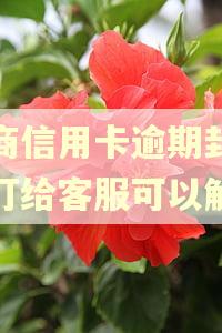 招商信用卡逾期封卡了打给客服可以解吗 招商信用卡逾期封卡了打给客服可以解吗