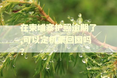 在柬埔寨护照逾期了,可以定机票回国吗?