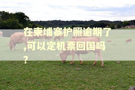 在柬埔寨护照逾期了,可以定机票回国吗?