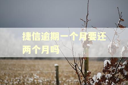 捷信逾期一个月要还两个月吗