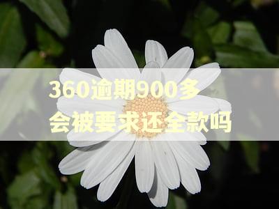 360逾期900多会被要求还全款吗