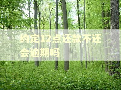 约定12点还款不还会逾期吗