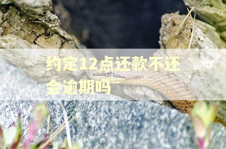 约定12点还款不还会逾期吗