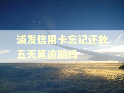浦发信用卡忘记还款五天算逾期吗