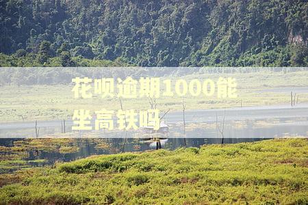 花呗逾期1000能坐高铁吗