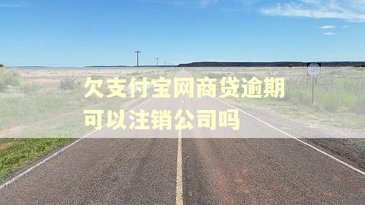 欠支付宝网商贷逾期可以注销公司吗