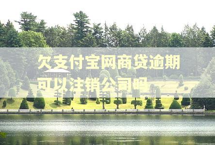 欠支付宝网商贷逾期可以注销公司吗