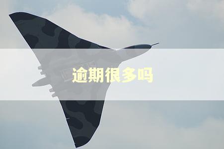 逾期很多吗