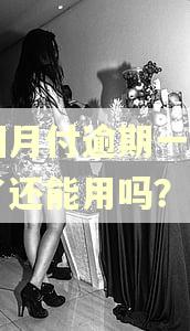 美团月付逾期一个月还了还能用吗？