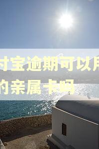 支付宝逾期可以用别人的亲属卡吗