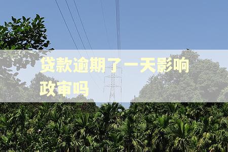 贷款逾期了一天影响政审吗