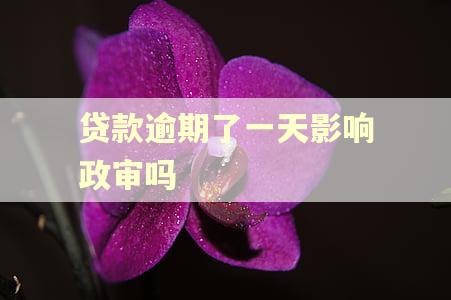 贷款逾期了一天影响政审吗