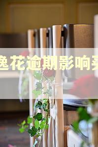 安逸花逾期影响买车吗