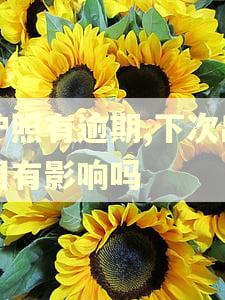 护照有逾期,下次出国有影响吗