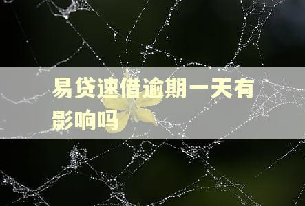 易贷速借逾期一天有影响吗