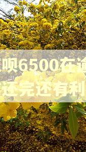 欠花呗6500在逾期前还完还有利息吗